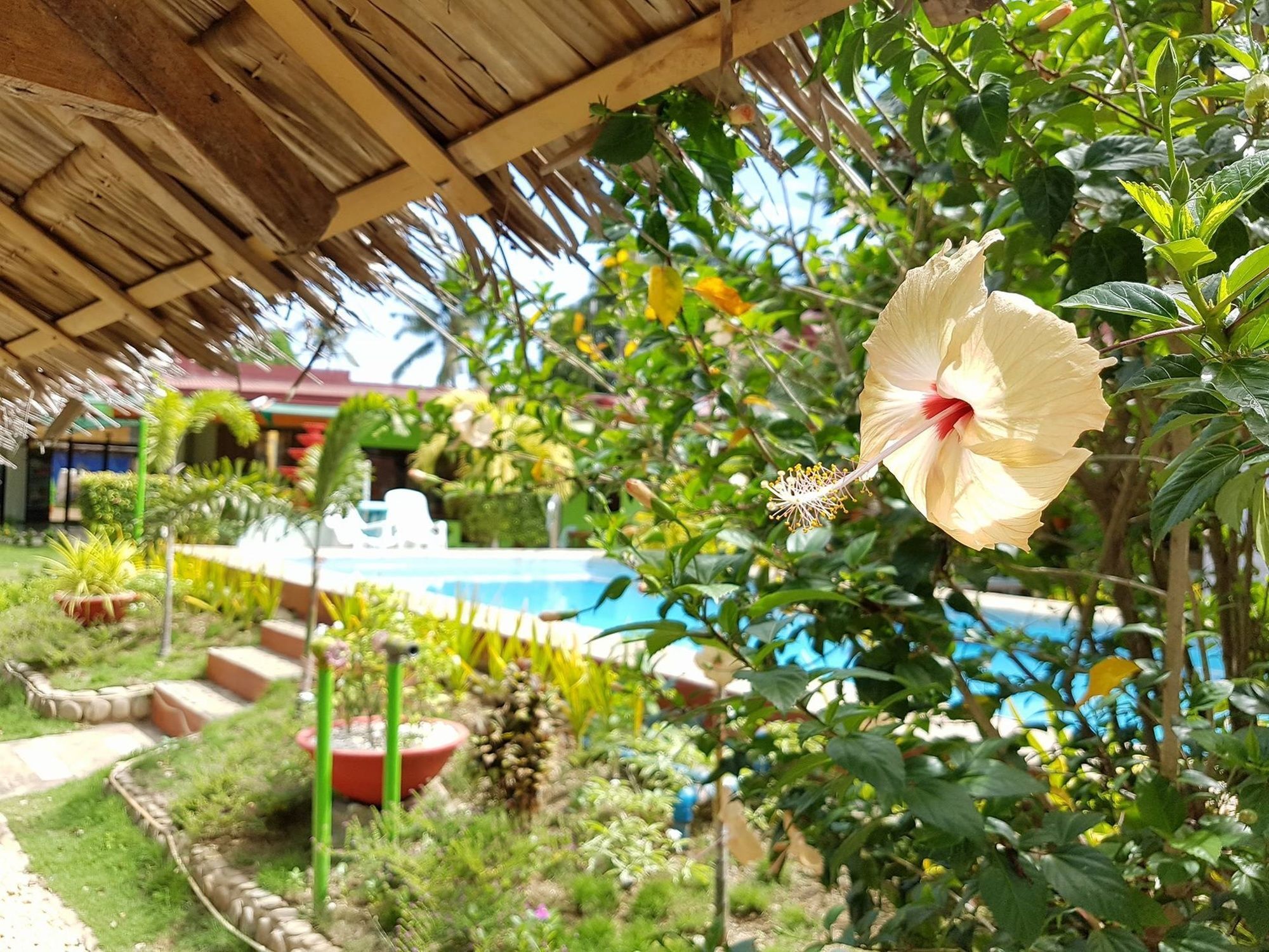 Green Park Tourist Inn Puerto Princesa Екстериор снимка